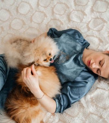 Éleveur de Spitz Allemand à la House of Pomeralya avec l'un de ses chiens.